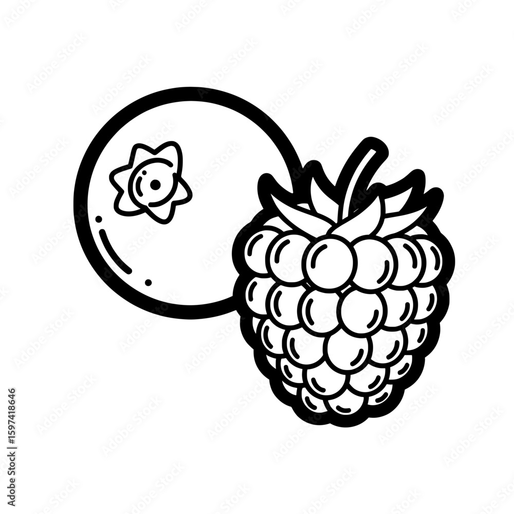 Poster raspberry and blackberry pattern with leaves for branding and packaging
