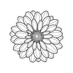 Detailed floral pattern with layered petals on black background