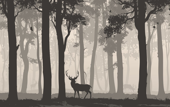 Vector background seamless horizontally. Deciduous forest with deer.
