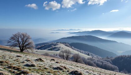 temperature drop on hilltops compared to lowlands air thinner colder mist forming frost visible contrast in climate