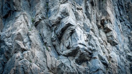 Gray rock face texture