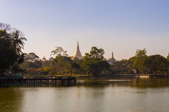 Large Golden Pagoda Sits on the Horizon Across from Kandawgyi Lake in Yangon Myanmar