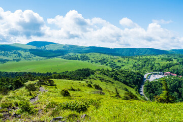 Obraz premium 八島ヶ原湿原 夏