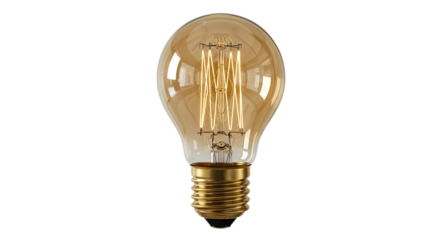 Vintage Edison Style Filament Light Bulb.