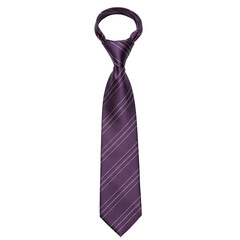 Elegant plum necktie with diagonal white stripes, knotted and ready to wear