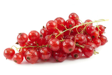 Red currants on a branch fresh and ripe
