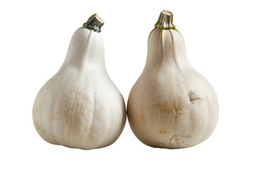Two white gourds on black background