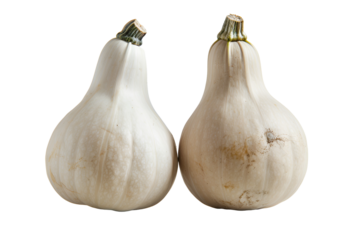 Two white gourds on black background