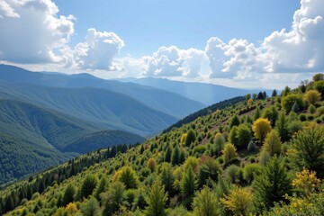 afforestation projects on steep degraded slopes planting fast growing trees preventing landslides improving carbon sequestration and restoring natural landscape beauty