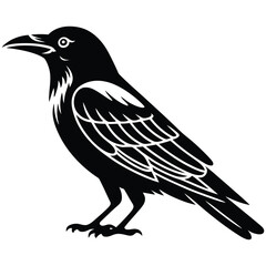Obraz premium crow on a branch