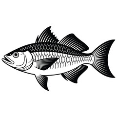 fish vector illustration