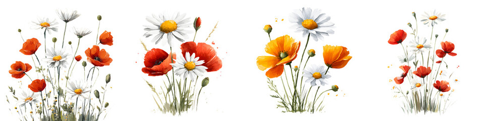 Naklejka premium Wildflower Bouquets: Daisy and Poppy Watercolor Art