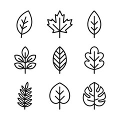 Environmental leaf vector set. Outline symbols. Line design