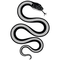 Obraz premium black snake vector