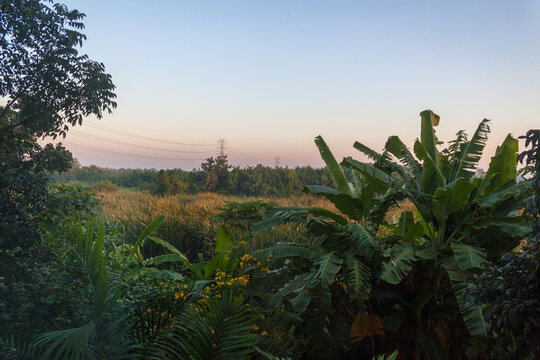 Sunrise Landscape on the Outskirts of Bangkok Thailand