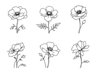 anemone flower line drawing