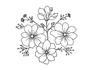 angelonia flower line art illustration