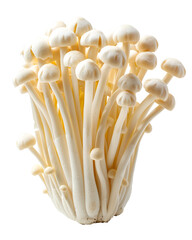 Bunch of white mushrooms on black background