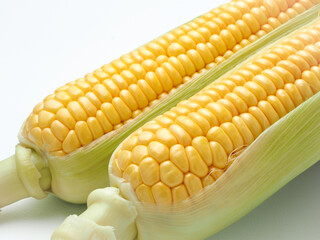 とうもろこし