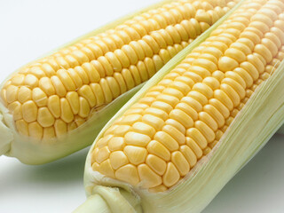 とうもろこし