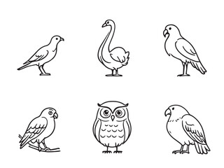 bird floral contour design