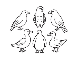 bird artistic sketch outline