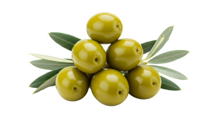 A close-up studio shot features three green olives stacked on top of each other, accented by a small olive branch with leaves.