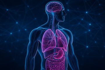 AI generated ultra realistic glowing human body showing brain lungs heart and digestive organs with detailed nerves in a futuristic bio digital background