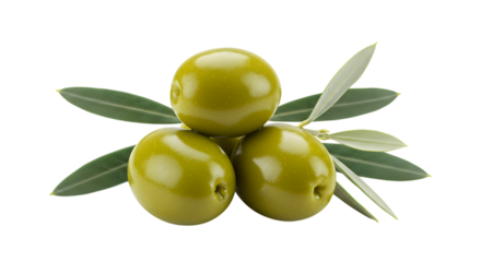 A close-up studio shot features three green olives stacked on top of each other, accented by a small olive branch with leaves.