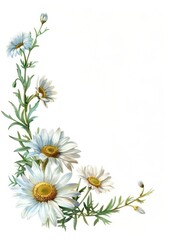 Fototapeta premium Daisy flowers daisies art illustration.