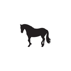 Fototapeta premium Black silhouette of a horse standing on a white background animal 3