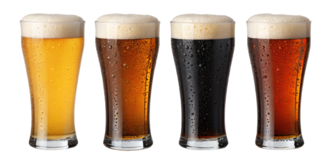 A row of four different types of beer in tall glasses, showcasing a variety of colors and foam, isolated on transparent background