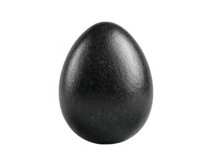 Textured dark gray egg shape isolated on transparent background