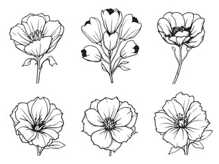 bleeding heart vector sketch