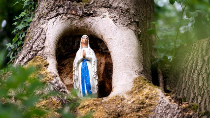 Statue de la sainte vierge dans le creux d'un arbre