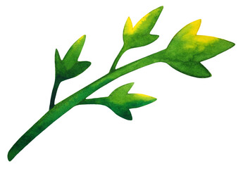 green leaf nature foliage plant tree branch floral ivy creeper vine forest botanical icon logo symbol sign art design illustration watercolor painting white isolated background decoration drawing