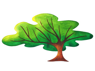 green tree nature plant leaf foliage branch eco ecology environment floral forest natural concept icon logo symbol sign art design illustration watercolor painting white isolated background drawing