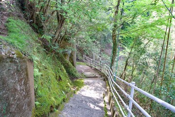 Scenery Approach leading to Rikkokuji Temple in Yoro Valley