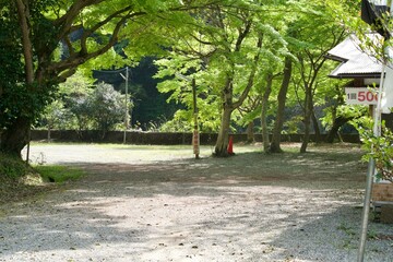 Outdoor parking lot and view of trees in spring