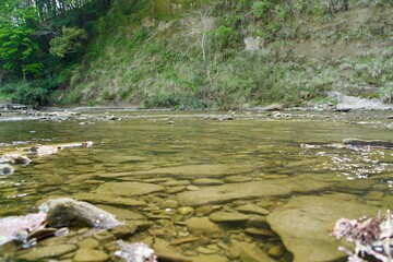 The surface of the Yoro River in spring