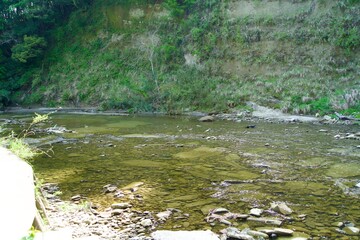 Scenery of Yoro River in Chiba in spring