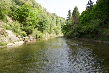 The surface of the Yoro River in spring