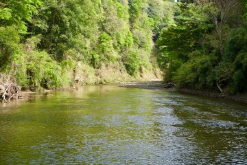 Scenery of fresh greenery and the Yoro River in spring