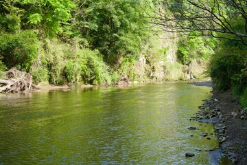 Scenery of fresh greenery and the Yoro River in spring