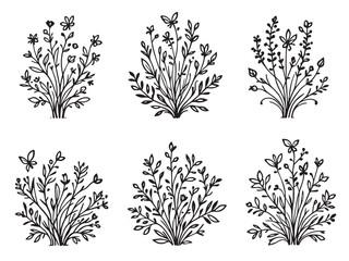 butterfly bush flower drawing