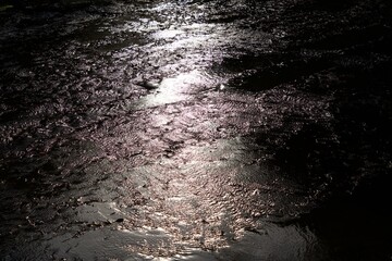 Morning sunlight reflected on the river