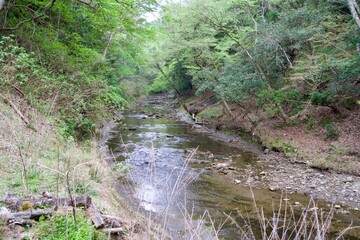 Scenery of Yoro River in the morning