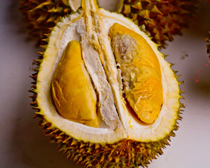 close-up view of Montong durian fruit, Medan, North Sumatra