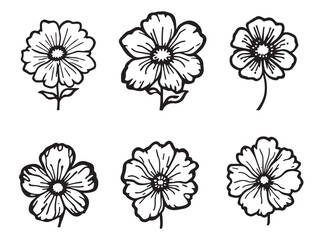 Obraz premium calibrachoa floral vector drawing