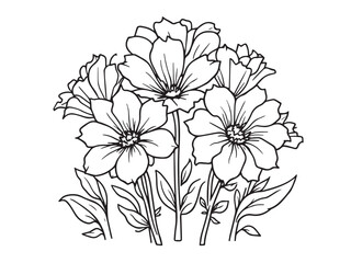 canterbury bells sketch drawing